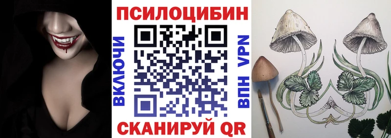 Галлюциногенные грибы Psilocybe  Югорск 